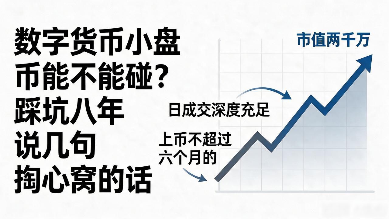 数字货币小盘_小盘币交易策略_市值两千万到五千万币种选择